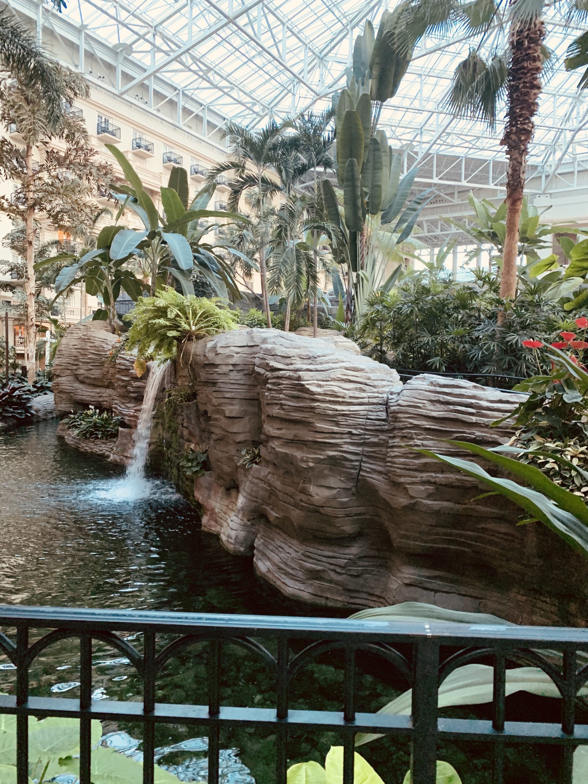 Gaylord Palms, Kristi Corley - Orlando Mom Collective