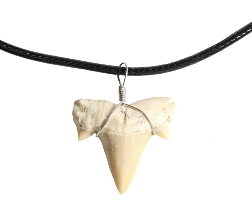 shark tooth necklace