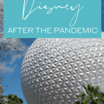 What it’s like at Disney now