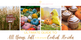 All things Fall