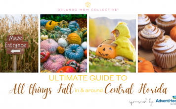 All things Fall