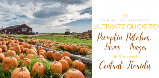 2021 Guide to Farms, Mazes + Pumpkin Patches Pumpkin Patches, Farms + Mazes