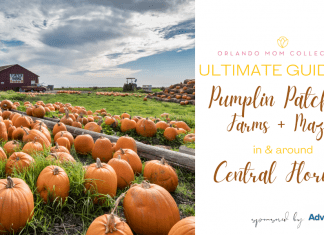 Pumpkin Patches, Farms + Mazes