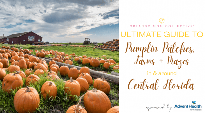 Pumpkin Patches, Farms + Mazes