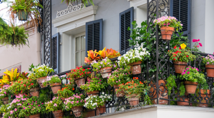 transform your outdoor space with plants!