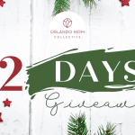 12 days of giveaways