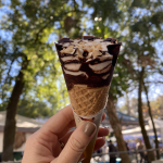 Sweet Fleet Vegan Ice Cream Cone at the Plant-Based Market