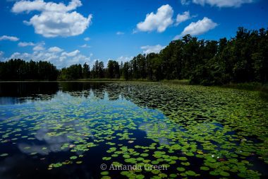 Lake Louisa