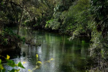 Blue Spring State Park @FloridaStateParkProject