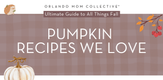 5 Pumpkin Recipes We Love tan and brown gingham background with cream pumpkin, hedgehog and branch with orange and red leaves on it with 'pumpkin recipes we love' in the middle