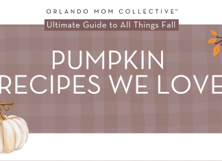 tan and brown gingham background with cream pumpkin, hedgehog and branch with orange and red leaves on it with 'pumpkin recipes we love' in the middle
