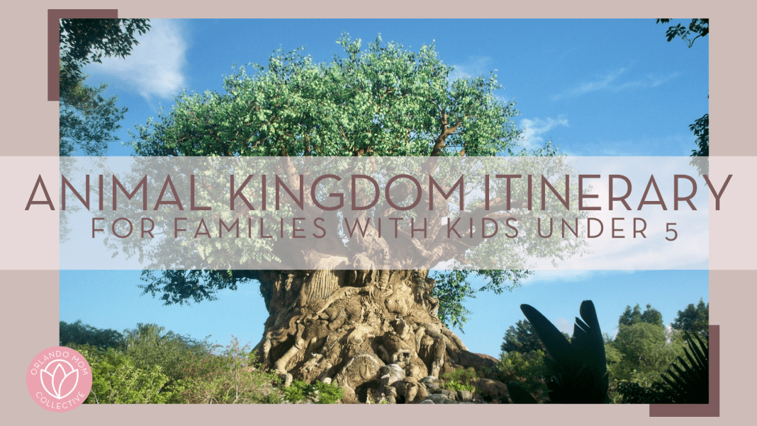 Stephanie klepacki via unsplash photo of the tree of life with 'animal kingdom itinerary for families with kids under 5' over top