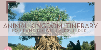 Animal Kingdom Itinerary for Families with Kids under 5 Stephanie klepacki via unsplash photo of the tree of life with 'animal kingdom itinerary for families with kids under 5' over top