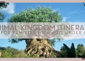 Stephanie klepacki via unsplash photo of the tree of life with 'animal kingdom itinerary for families with kids under 5' over top