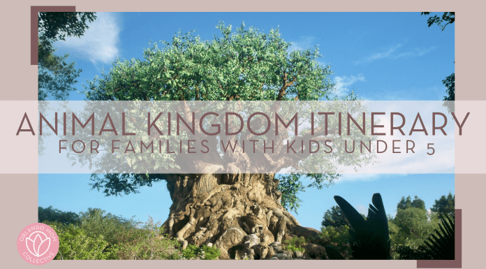 Stephanie klepacki via unsplash photo of the tree of life with 'animal kingdom itinerary for families with kids under 5' over top