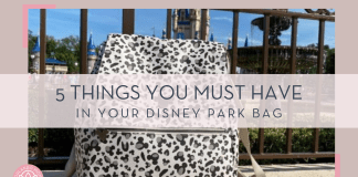 5 Things you MUST Have in your Disney Park Bag gray leopard print bag in front of fence with cinderella castle behind with '5 things you must have in your disney park bag' in text in front of image