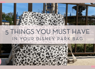 gray leopard print bag in front of fence with cinderella castle behind with '5 things you must have in your disney park bag' in text in front of image