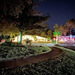 christmas lights