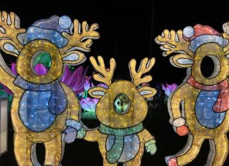 three light up reindeer