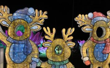 three light up reindeer