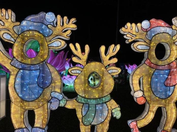 three light up reindeer