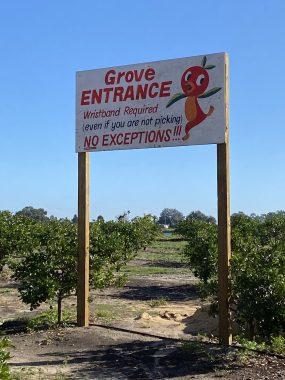 The grove entrance.