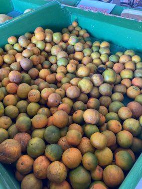 Pre-Picked Citrus is available to buy inside the market.