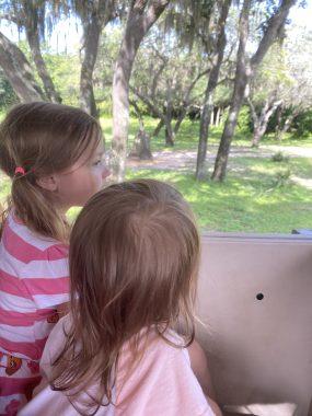 two girls looking out the safari truck onto the plains with trees behind