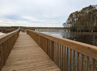 Cypress Board Walk at Orlando Wetlands Park