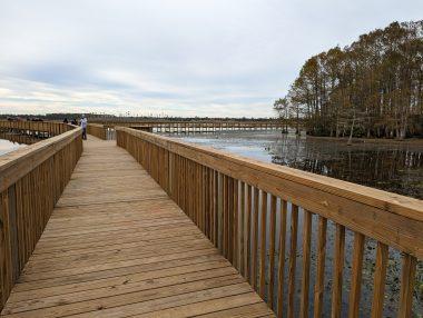 Cypress Board Walk at Orlando Wetlands Park