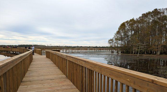 Cypress Board Walk at Orlando Wetlands Park