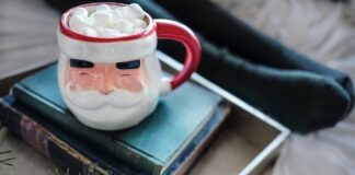 5 Books to Get You into the Christmas Spirit Drew Coffman via Unsplash Santa mug with marshmallows coming out the top on a stack of books