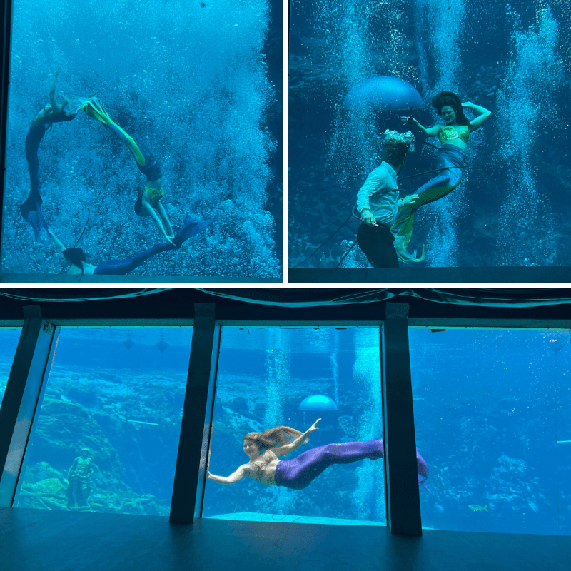 weeki wachee mermaids