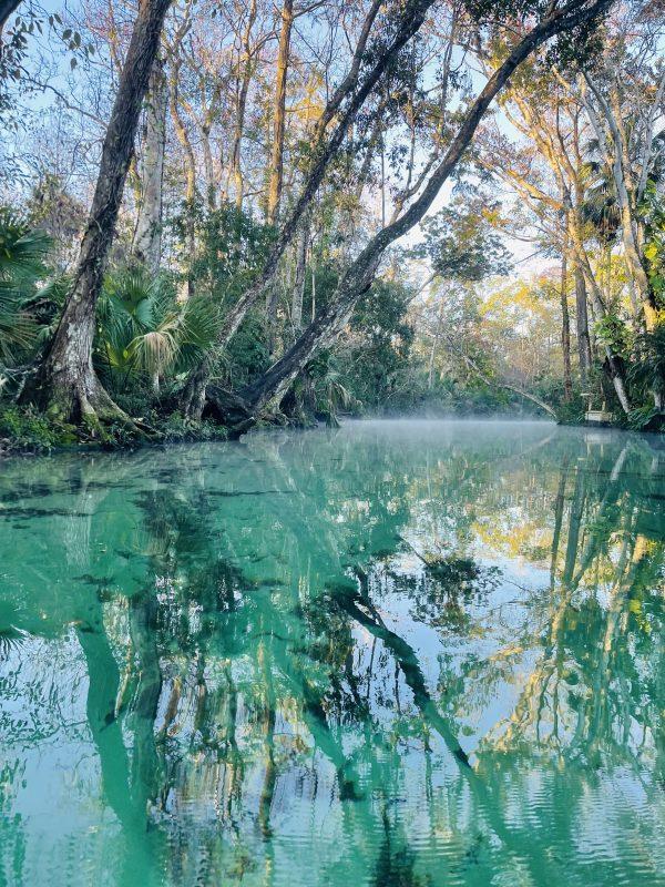 Weeke Wachee springs