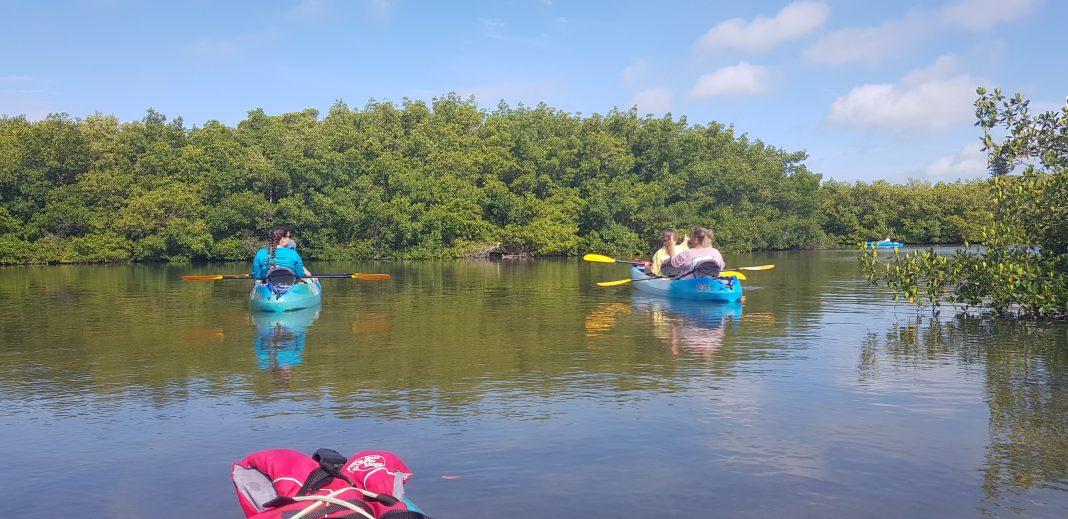 POV of person on a kayak on a river overlooking overgrown nature. Two kayaks are in near distance with two people on them paddling.