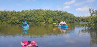 POV of person on a kayak on a river overlooking overgrown nature. Two kayaks are in near distance with two people on them paddling.