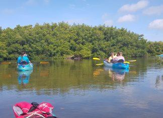 POV of person on a kayak on a river overlooking overgrown nature. Two kayaks are in near distance with two people on them paddling.