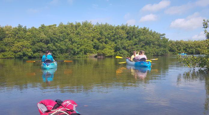 POV of person on a kayak on a river overlooking overgrown nature. Two kayaks are in near distance with two people on them paddling.