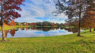 scenery overlooking a small lake with bright green grass and trees and a few red and orange trees. 