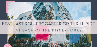 Matt Benson via unsplash photo of rainbow flags in front of snow covered mountain with text 'best last rollercoaster or thrill ride at each of the disney parks' in front.