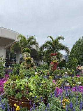 Donald and Daisy Duck made of flowers with building behind them