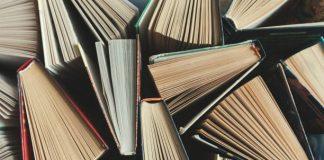 Debut Novels I Read in 2023 that Blew me Away