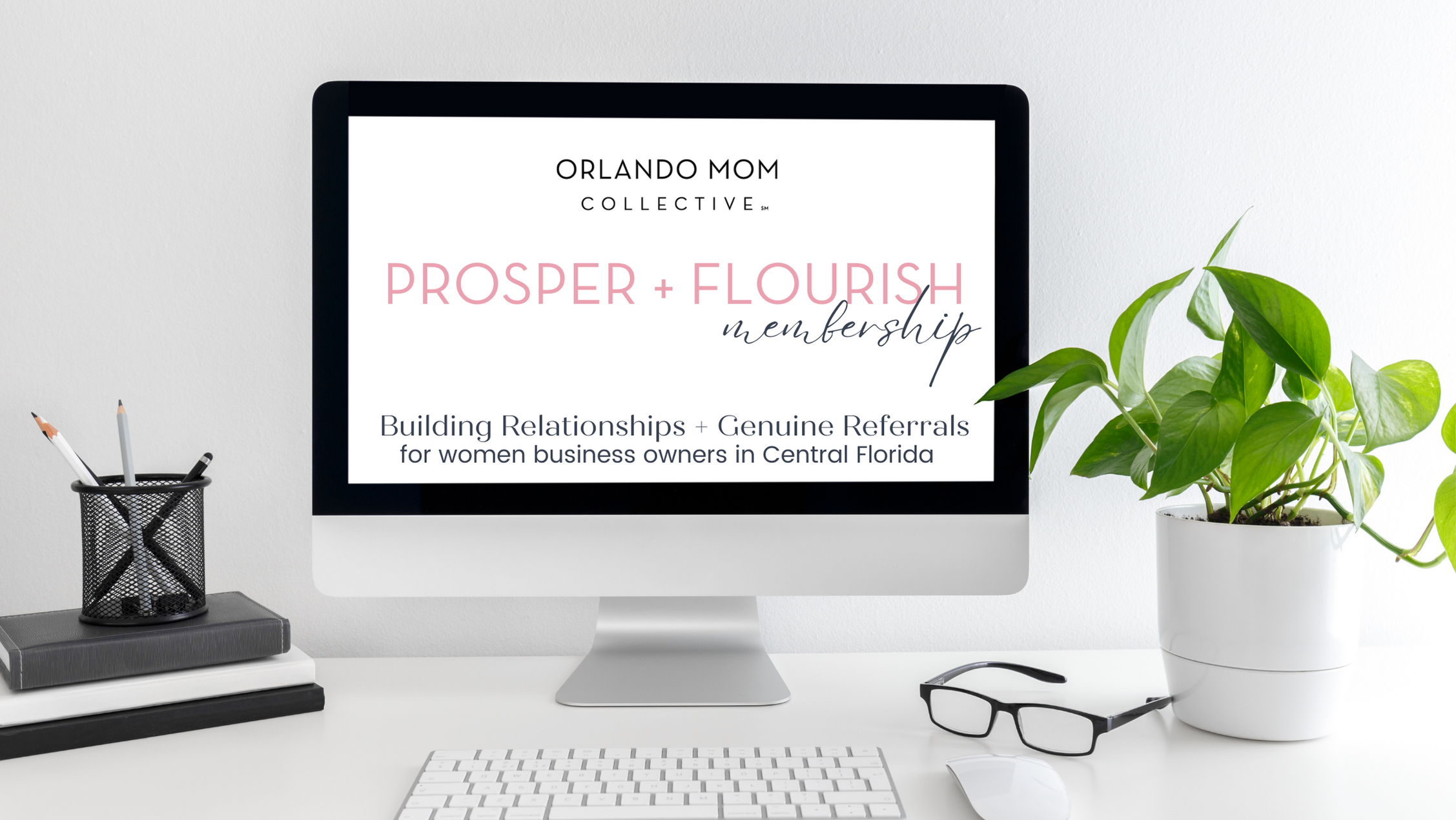 Prosper & Flourish, Women in Business Membership Program