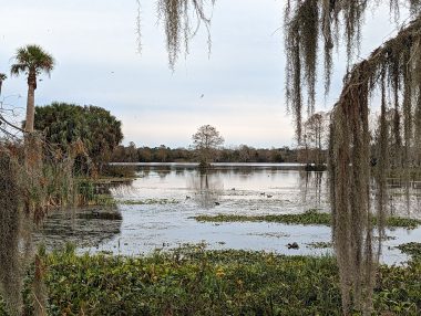 Orlando Wetlands Park