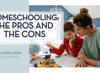 Homeschooling: The Pros and The Cons
