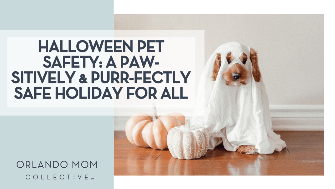 Paige Cody via Unsplash brown dog in ghost costume with two pumpkins in front of it with words 'Halloween Pet Safety: A Paw-sitively & Purr-fectly Safe Holiday for All' on the left