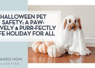 Paige Cody via Unsplash brown dog in ghost costume with two pumpkins in front of it with words 'Halloween Pet Safety: A Paw-sitively & Purr-fectly Safe Holiday for All' on the left