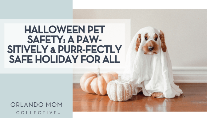 Paige Cody via Unsplash brown dog in ghost costume with two pumpkins in front of it with words 'Halloween Pet Safety: A Paw-sitively & Purr-fectly Safe Holiday for All' on the left