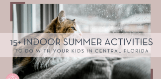 Keenan Barber via unsplash photo of a cat on the back of a couch looking out a rainy window with words '15+ summer activities to do with your kids in Central Florida' overtop