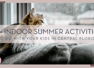 Keenan Barber via unsplash photo of a cat on the back of a couch looking out a rainy window with words '15+ summer activities to do with your kids in Central Florida' overtop